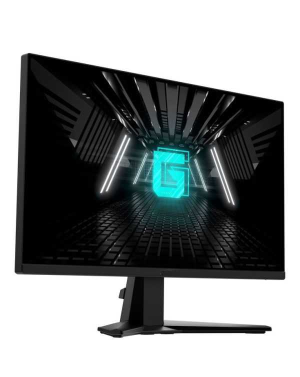 24" Gaming IPS Monitor